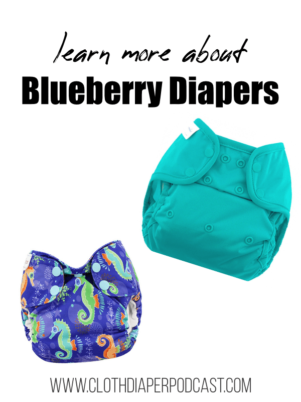 All About Blueberry Cloth Diapers